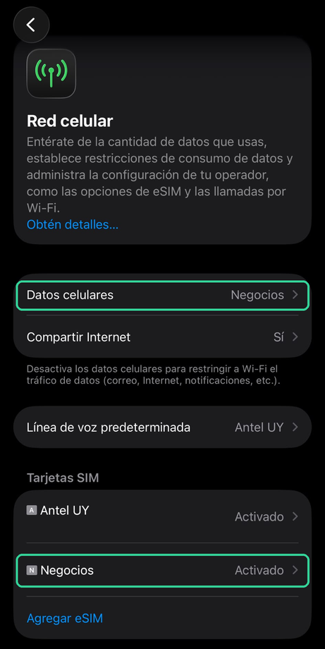 iPhone Cellular settings, with the Cellular Data row and the travel eSIM line highlighted
