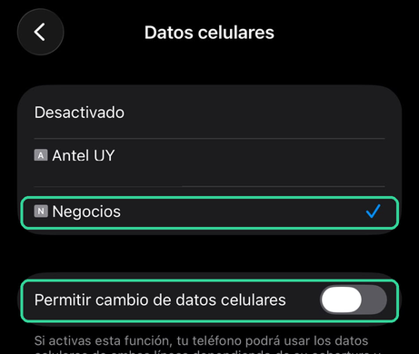 iPhone Cellular Data screen with the travel eSIM ticked and Allow Cellular Data Switching turned off